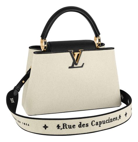 louis vuitton capucines price|louis vuitton capucines price euro.